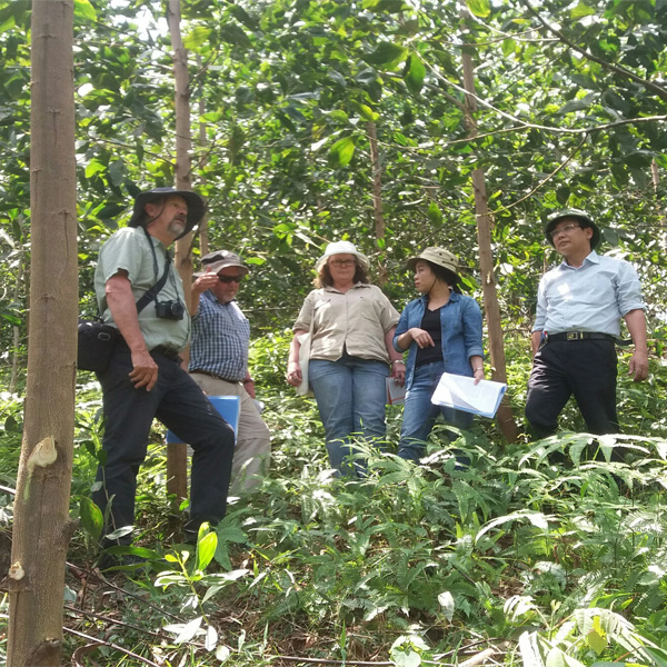 Tổng cục Lâm nghiệp Việt Nam và Tổ chức Hợp tác Phát triển Đức GIZ tổ chức tập huấn về quản lý rừng bền vững FSC 