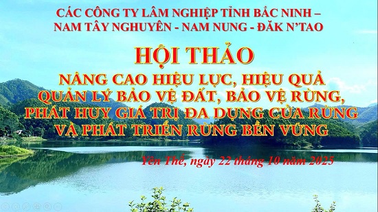 CÔNG TY LÂM NGHIỆP YÊN THẾ LIÊN TIẾP TỔ CHỨC 2 HỘI THẢO VỀ QUẢN LÝ, BẢO VỆ VÀ PHÁT TRIỂN RỪNG TRONG THÁNG 10/2025 CÔNG TY LÂM NGHIỆP YÊN THẾ LIÊN TIẾP TỔ CHỨC 2 HỘI THẢO VỀ QUẢN LÝ, BẢO VỆ VÀ PHÁT TRIỂN RỪNG TRONG THÁNG 10/2025